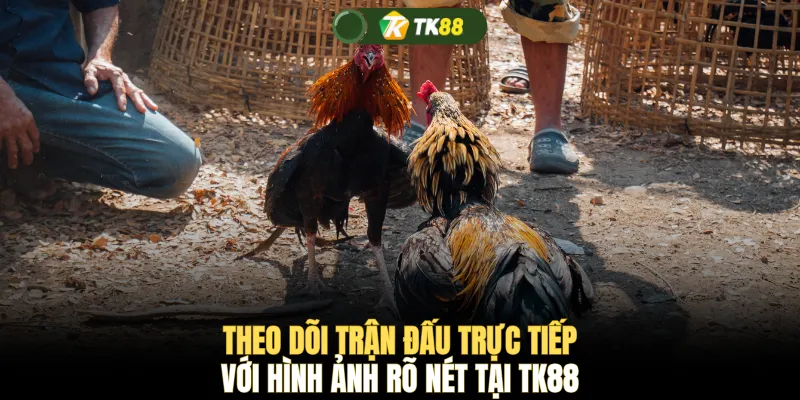 Theo dõi trận đấu trực tiếp với hình ảnh rõ nét tại TK88